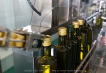 Automatic Cap Feeder